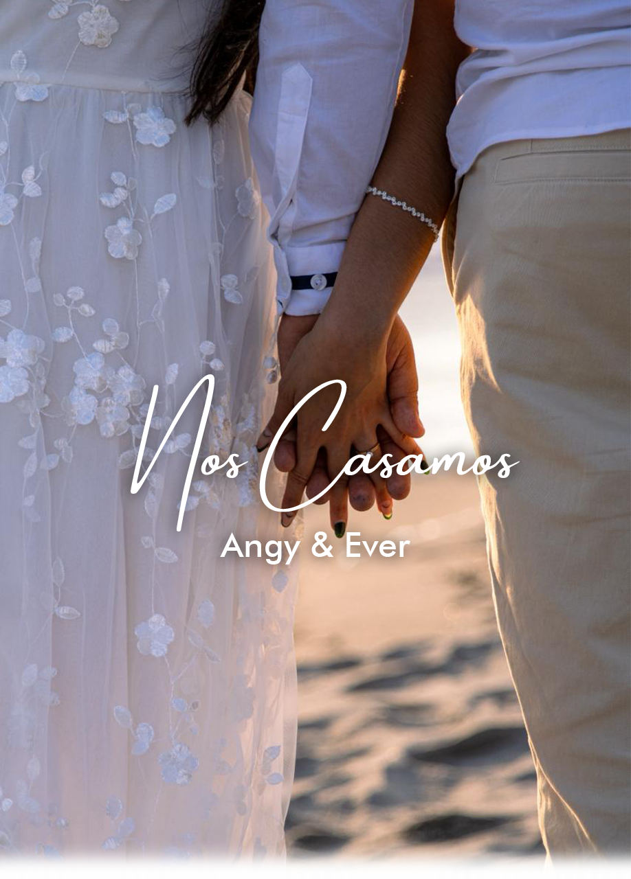 Descripción de la imagen 2